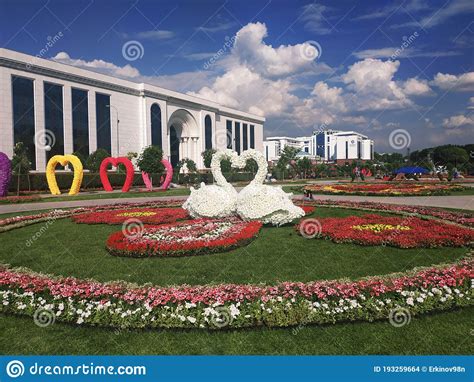 Long Flores Photo Tashkent