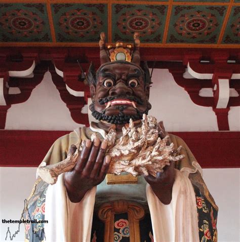 Long King  Meizhou
