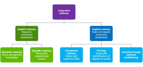 Long Term Memory PDF Memory Recall (Memory)