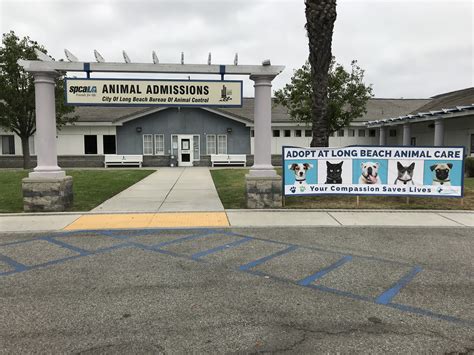 Long beach animal control. Long Beach Animal Care Services, situated in El Dorado East Regional Park, offers a range of services for pet owners in Long Beach, California. From adoptions to low-cost … 