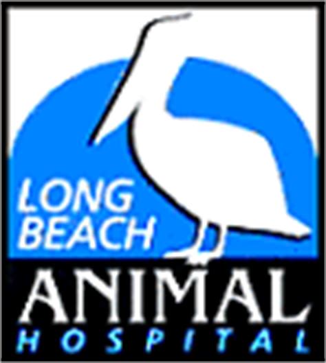 Long beach animal hospital. 