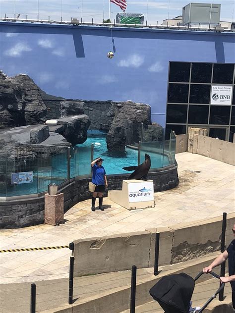 Long island aquarium riverhead. The Riverhead aquarium and mattress company have partnered to offer one couple or duo the experience of a lifetime on Aug. 19 and 20. The two people who book the package will have the entire ... 