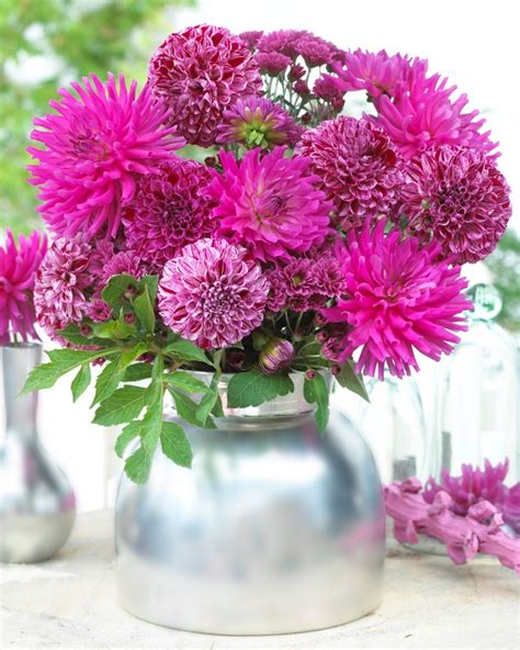 Long lasting flowers. Things To Know About Long lasting flowers. 