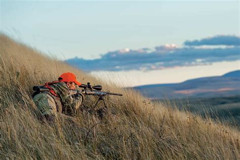 Long range hunting. Things To Know About Long range hunting. 