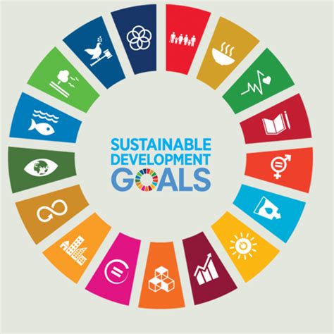 As the sector is experiencing tremendous growth, collective efforts to ensure its long-term sustainability are essential. ... Sustainable Development Goals .... 