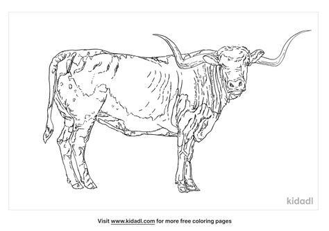 Longhorn Coloring Page