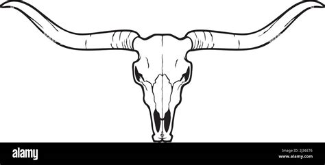 Longhorn Skull Stock Vectors, Clipart and Illustrations