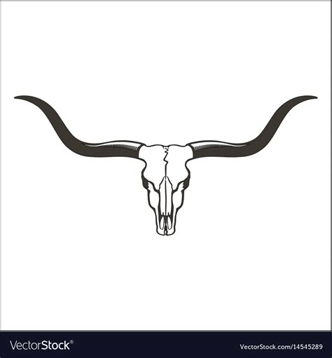 Longhorn skeleton Royalty Free Vector Image VectorStock