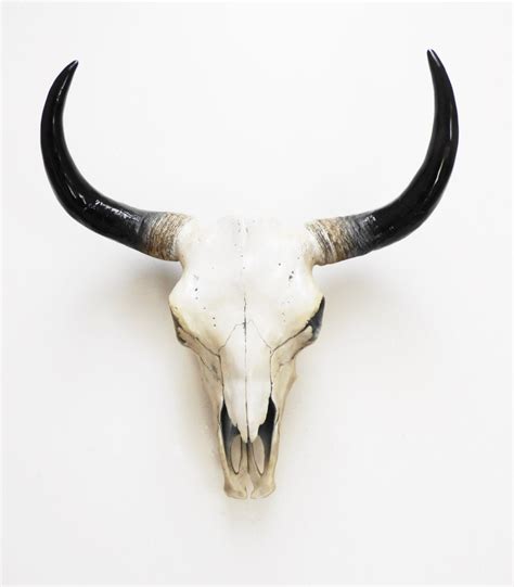 the savannah, faux gold longhorn measures: 13.25" H x 13" W x 9.5" D; 3 Lbs; by White Faux Taxidermy ® genuinely fake head wall decor; no longhorn skull harmed; crafted in fine resin; more best sellers & fan favorites styles > description. 