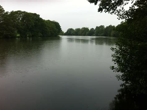 Longwater Fishing Lake Devizes - Facebook