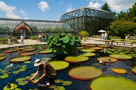 Longwood Gardens is a botanical garden In Kennett Square, Pennsylvania, about 40 miles west of Philadelphia and 11 miles south of West Chester, where Cavalcante escaped.. 