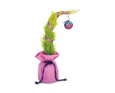 Loo whoo tree. Upside-down Christmas trees are easy to integrate into holiday decor, and with these tips, you'll be hanging an inverted tree in no time. Whether you decide to invert and hang your own Christmas tree or invest in a ready one, we'll give you an overview, along with inspiration on how to decorate them with Christmas tree lights, beautiful ... 