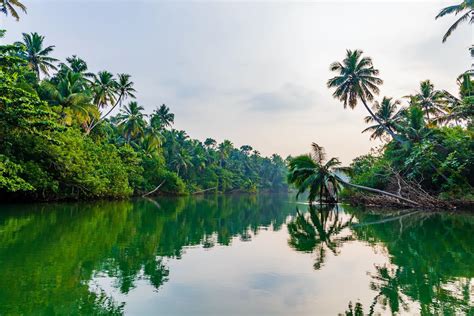 Looking To Get Out On The Water? Head To The Backwaters In