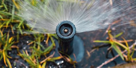 Looking for a Sprinkler System? Rain Bird