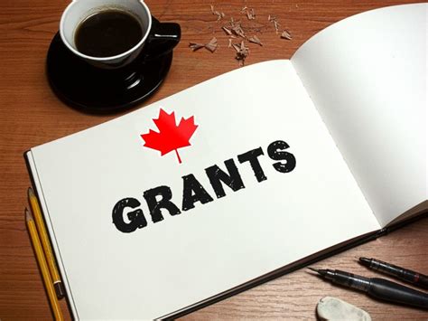 Looking for someone to apply grants for my Canadian Startup in ...