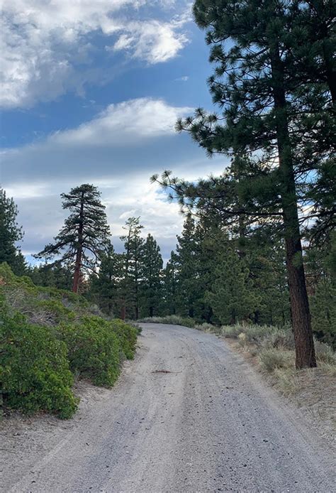 Lookout loop trail. .  ...