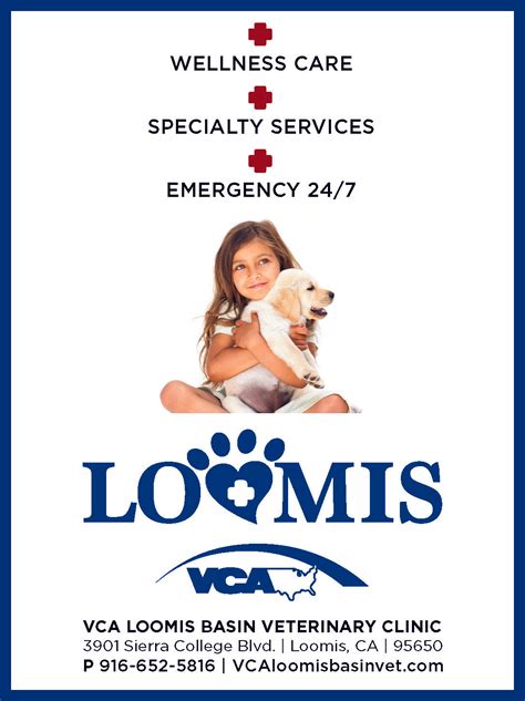 Loomis basin vet. Read 295 customer reviews of VCA Loomis Basin Veterinary Clinic, one of the best Healthcare businesses at 3901 Sierra College Blvd, Loomis, CA 95650 United States. Find reviews, ratings, directions, business hours, and book appointments online. 