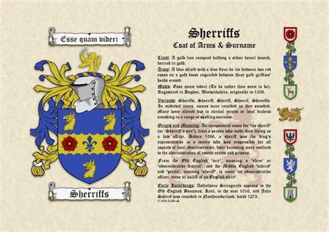 Loontjens Surname Origin, Meaning & Last Name History