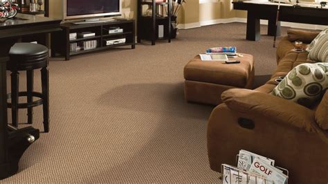 Loop Carpet - Shaw Floors Costco