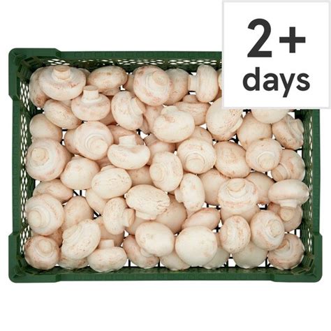 Loose Closed Cup Mushrooms - Tesco Groceries