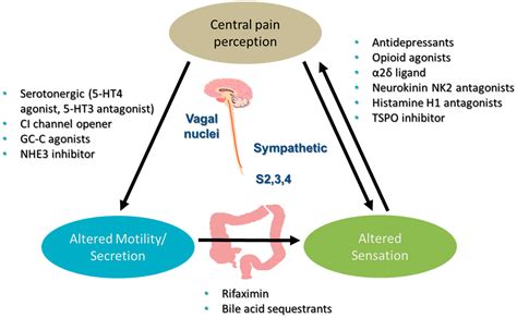 Loperamide treatment of the irritable bowel syndrome