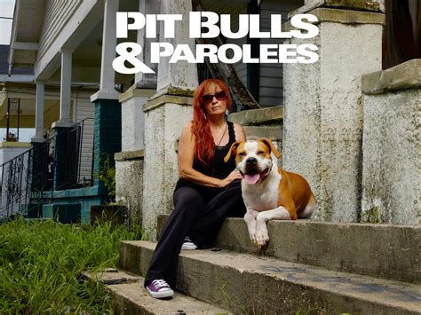 Lopez pitbulls and parolees.  Adeline Senior Program, Virtual Adopter- Ellu Luu...