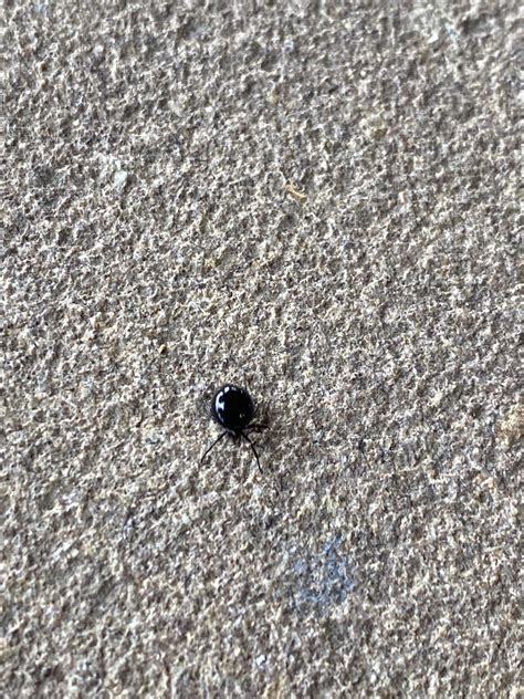 Lore1986 Onlyfans Leaked 🍆 XXX