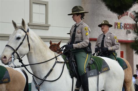 Los Angeles County Sheriff’s Department partners with Bureau of Land Management to host first wild horse and burro adoption event 