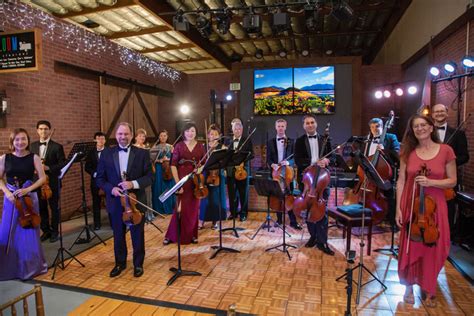 Los Gatos orchestra provides free music for medical workers, patients
