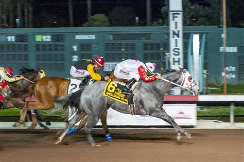 cir lady moon takes the las damas to give her four stakes wins at los alamitos in 2023 ; two million trials consensus selections ; the champion of champions at los alamitos to feature a $1,000,000 purse in 2024 ; ... qualifiers to los alamitos two million futurity on december 12 ; sanchez is new track record holder with 154 stakes …. 