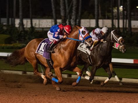 Los alamitos quarter horse racing results. Los Alamitos Entries & Results for Saturday, October 28, 2023. Los Alamitos was opened in 1951 and is best known as a premier Quarter Horse track. "Los Al" started running Thoroughbred meets in 2014 following the closing of Hollywood Park. Los Alamitos' biggest stakes: The Los Alamitos Futurity, formerly the Hollywood Futurity and the Starlet ... 
