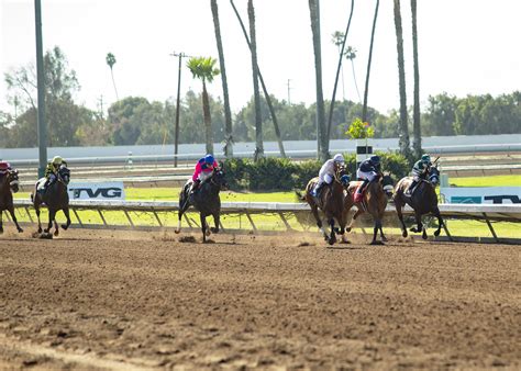 Los alamitos race course entries. Los Alamitos Race Course has been offering Quarter Horse racing since 1947. The track hosted its first pari-mutual meet in 1951. What started out as informal match races on the Vessels Ranch in the late '40s, has grown into year … 