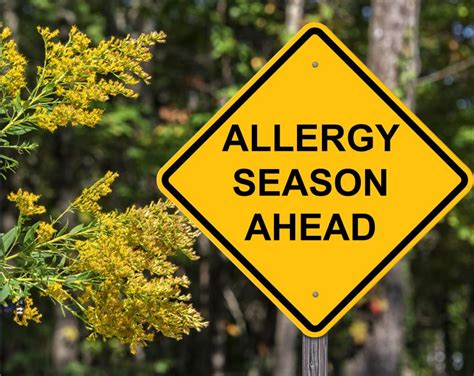 Los angeles allergies today. Things To Know About Los angeles allergies today. 