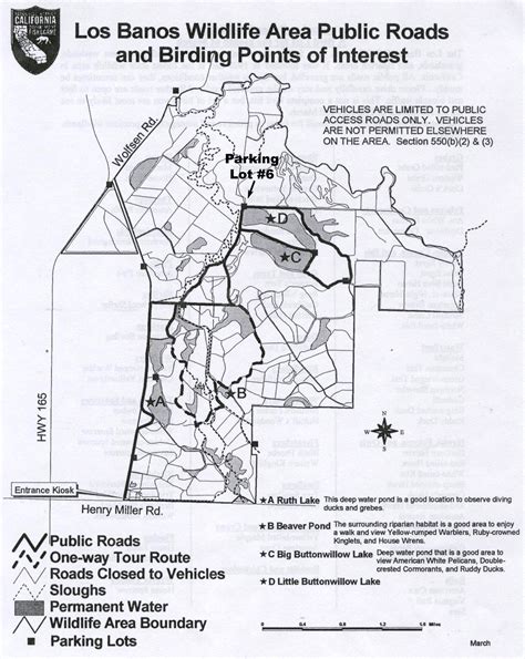 season and only in designated areas as shown on map. Areas closed to hunting are posted. 5. The area is open to hunting of waterfowl, coots, moorhens, pheasant, dove and snipe, when in 4. Hunters must possess a valid hunting license, stamps and an Area Permit while in the field. one-half hours after sunset. 3. Hunters must park in assigned .... 