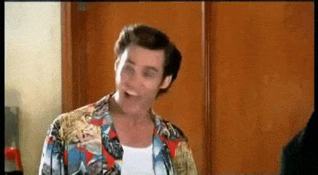 Loser gif jim carrey. On 'SNL,' Jim Carrey recited his “Loser” catchphrase from the ‘Ace Ventura’ movies as he played a triumphant President-elect Joe Biden on Nov. 7. By Dan Clarendon. Nov. 8 2020, Updated 3:02 p.m. ET. Source: NBC. In character as Joe Biden on Saturday Night Live, Jim Carrey mocked presidential “loser” Donald Trump — which, of course, … 