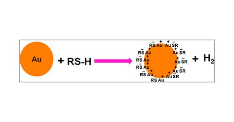 Loss of Hydrogen upon Exposure of Thiol to Gold Clusters at Low ...