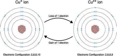In both cases, the metal acquires a positive charge by transferring electrons to the neutral oxygen atoms of an oxygen molecule. As a result, the oxygen atoms acquire a negative charge and form oxide ions (O 2−). Because the metals have lost electrons to oxygen, they have been oxidized; oxidation is therefore the loss of electrons.