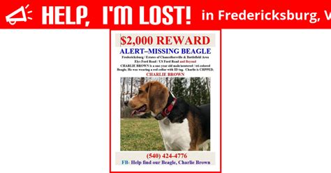 Lost …craigslist Pets in Fredericksburg, VA