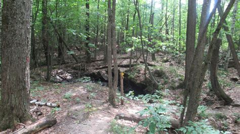 Lost Mine Trail - Chester, VT MyHikes