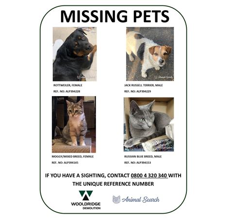 Lost and Found Pets Saint Paul Minnesota