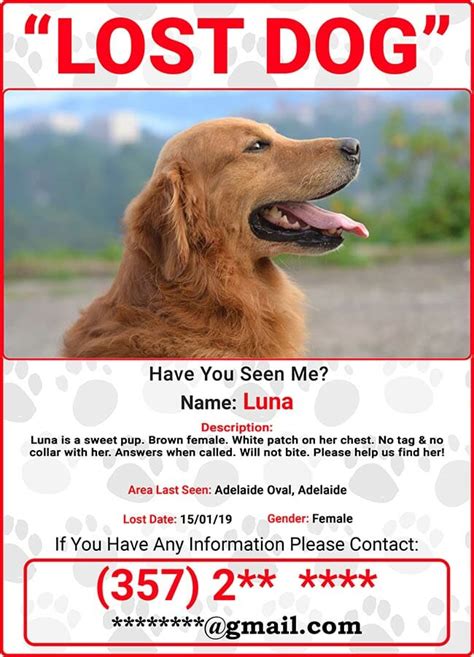 Lost and found pets. Helping the people of Barrow and surrounding areas find your lost pets. Helping you find the owners of pets you`ve found. Thousands of pets go missing or are stolen every year. Our aim is to offer,... 