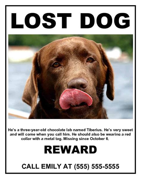 Lost and found pets near me. A group for people in Douglas County, GA to post their lost and found animals! Remember to get a collar & tag with a reliable phone number for your... 