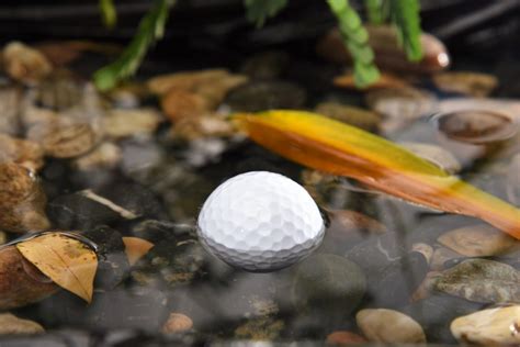 Here’s a closer look at why golf balls get lost: Errant Shots: The most obvious reason for lost golf balls is a wayward shot. A slice or hook, when the ball curves excessively to the left or right, can quickly lead your ball into the rough, trees, or even water hazards. Course Terrain: The layout and terrain of the golf course play a .... 