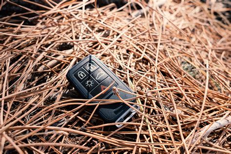 Lost key fob. The cost of replacing a key fob will depend on factors like what type of fob it is and the model year of the vehicle. For older vehicles with a simple, less functional fob, you can expect to pay between $100 and $150 to have a new fob programmed for your vehicle. If you have a push-button starter fob for a less than five-year-old vehicle ... 