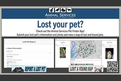 Lost pet finder app.  In this article, we will explore how to effectively use these apps t...