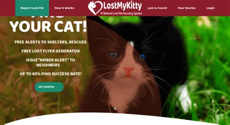 Lostmykitty.com. Lost My Kitty helps find lost cats, lost dogs or missing pets. Amber Alert for your pet to instantly notify up to 10,000 neighbors of your lost cat or missing dog. Report your lost … 