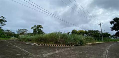 Lot For Sale in Punta Engaño, Cebu below 0k Lamudi