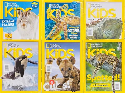 Lot Of 3 National Geographic Magazine 91 For May, June & July …