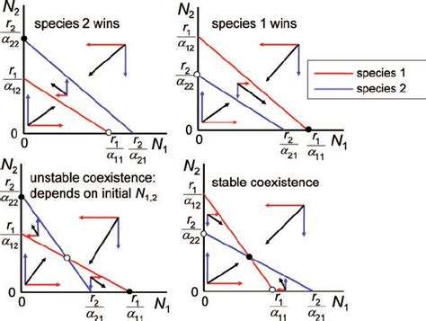 Lotka Volterra Equation Analysis