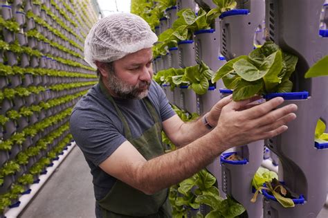 Lots of indoor farms are shutting down as their businesses struggle. So why are more being built?